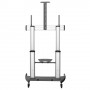 StarTech.com STNDMTV100 Supporto TV a parete 2,54 m (100") Nero, Argento (STNDMTV100)