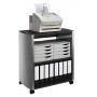 Durable 3101125 carrello e supporto multimediale Colore acero, Argento Stampante Trolley multimediale (3101125)