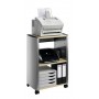 Durable 3103125 scatola per la conservazione di documenti Poliestere Antracite, Argento (3103125)