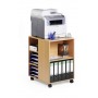 Durable 3113-47 Legno Carrello multimediale (311347)
