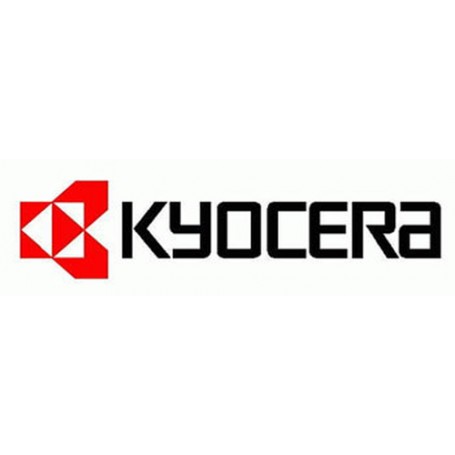 KYOCERA 870LS97001 licenza per software/aggiornamento 1 licenza/e 1 anno/i (870LS97001)