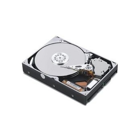 Lenovo 00HT091 disco rigido interno 320 GB Serial ATA III (00HT091)