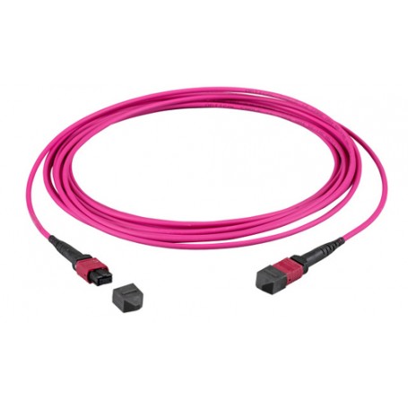 EFB Elektronik MTPF12MTPFOM4-5 cavo a fibre ottiche 5 m MTP OM4 Viola (MTPF12MTPFOM4-5)
