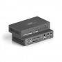 PureTools PT-PSW-42 conmutador de vídeo HDMI/VGA/DisplayPort (PT-PSW-42)