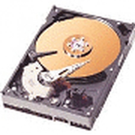 Ricoh 80GB Hard Disk Drive (406407)