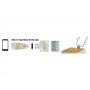 DeLOCK 90281 lettore di codici a barre 1D CMOS Oro (90281)