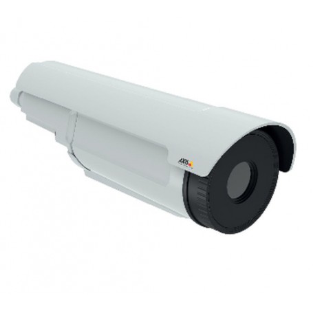 Axis Q2901-E PT Telecamera di sicurezza IP Esterno Capocorda 336 x 256 Pixel (0646-001)