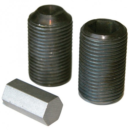 NEC CPAE300 (100013605)