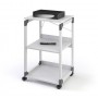 Durable 370110 scatola per la conservazione di documenti Grigio (370110)