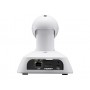 Panasonic AW-UE4WG telecamera per videoconferenza Bianco 3840 x 2160 Pixel 60 fps 25,4 / 2,3 mm (1 / 2.3") (AW-UE4WG)
