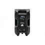 Omnitronic 11038796 altoparlante 2-vie Nero Con cavo e senza cavo 300 W (11038796)
