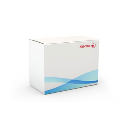 Xerox 497N04791 kit per stampante (497N04791)