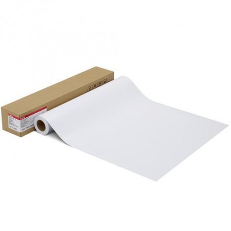 Canon Photo Paper Pro Platinum 610/25/280 carta fotografica (1107C003)