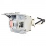 Viewsonic RLC-098 lampada per proiettore (RLC-098)