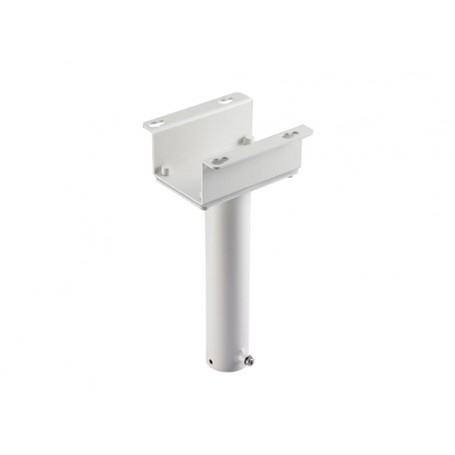 LevelOne CAS-2103 accessorio per la montatura delle macchine fotografiche (CAS-2103)