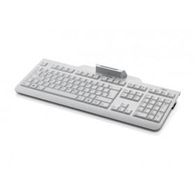 Fujitsu KB100 SCR tastiera USB Ceco Color marmo (S26381-K100-L104)