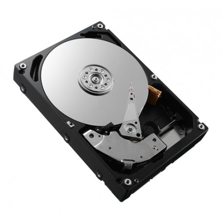 DELL RT4X4 disco rigido interno 3.5" 500 GB Seriale ATA II (RT4X4)