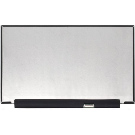 CoreParts MSC156F40-222M ricambio per notebook Display (MSC156F40-222M)