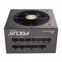 Seasonic FOCUS Plus 650 Gold alimentatore per computer 650 W 20+4 pin ATX ATX Nero (SSR-650FX)