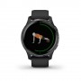 Garmin 010-02173-13 smartwatch e orologio sportivo 3,05 cm (1.2") AMOLED Nero GPS (satellitare) (010-02173-13)