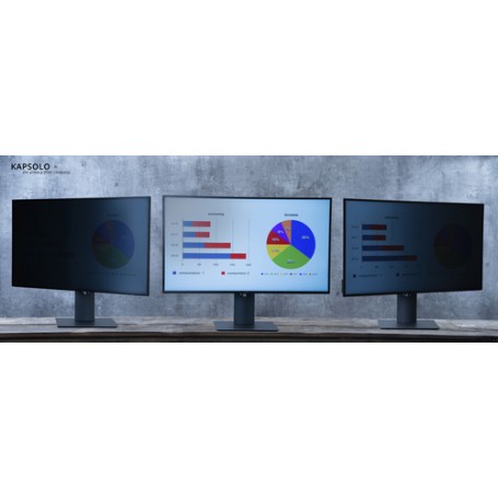 KAPSOLO 4-Way Plug In Privacy 49,53cm (19,5") Wide 16:9 49,5 cm (19.5") 2H (KAP10723)