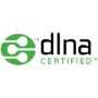 Hama DIR3020 Internet Analogico e digitale Nero (00054873)