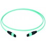 Telegärtner L00836A0031 cavo a fibre ottiche 40 m MPO OM3 Colore acqua (L00836A0031)