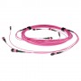ACT DC5413 cavo a fibre ottiche 70 m MPO/MTP OM4 Viola (DC5413)