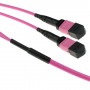 ACT DC5200 cavo a fibre ottiche 5 m 2x MPO OM4 Viola (DC5200)