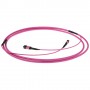 ACT DC5027 cavo a fibre ottiche 70 m MPO/MTP OM3/OM4 Viola (DC5027)