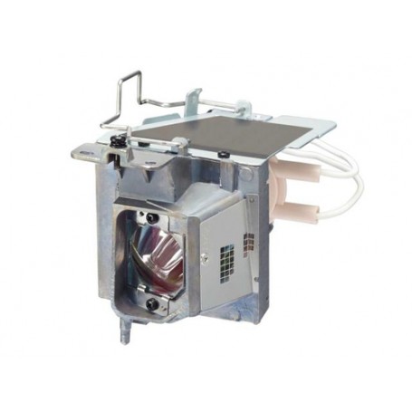 NEC NP40LP lampada per proiettore (100014341)