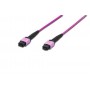 Digitus 100m MPO OM4 cavo a fibre ottiche MPO/MTP Porpora (DK-2566-100/4)
