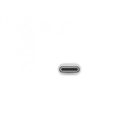 Apple Adattatore da USB-C a USB (MJ1M2ZM/A)