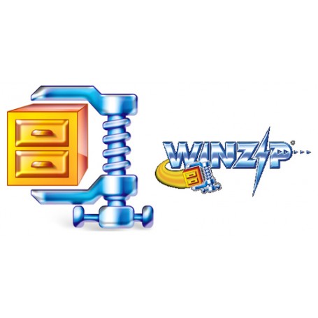 Corel WinZip 15 Standard, WIN, 10-24u, 1y, MNT 1 anno/i (LCWZSTDMLMNT1B)