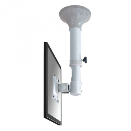 Neomounts by Newstar Supporto da soffitto per schermi LCD/LED/TFT (FPMA-C025SILVER)