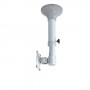 Neomounts by Newstar Supporto da soffitto per schermi LCD/LED/TFT (FPMA-C025SILVER)