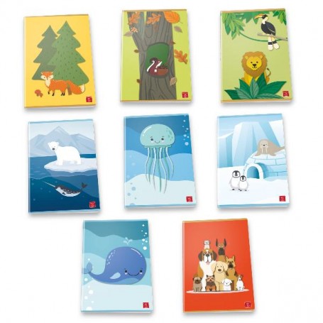 CF10 QUAD 20FG ANIMALIAM A4 80G ASS (02320550C)