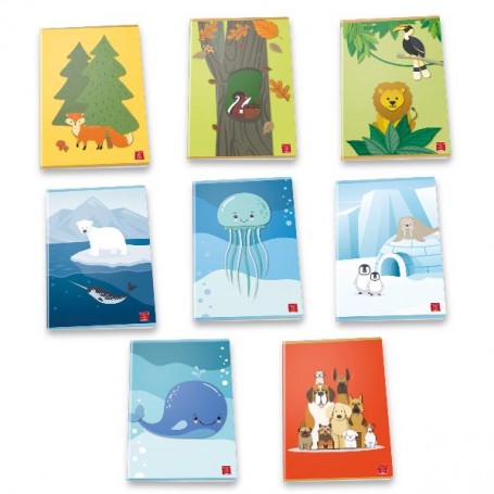 CF10 QUAD 20FG ANIMALIAM A4 80G ASS (02320555M)