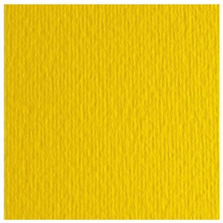 CF10 LR CEDRO-70X100 (46470125)