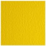 CF10 LR CEDRO-70X100 (46470125)
