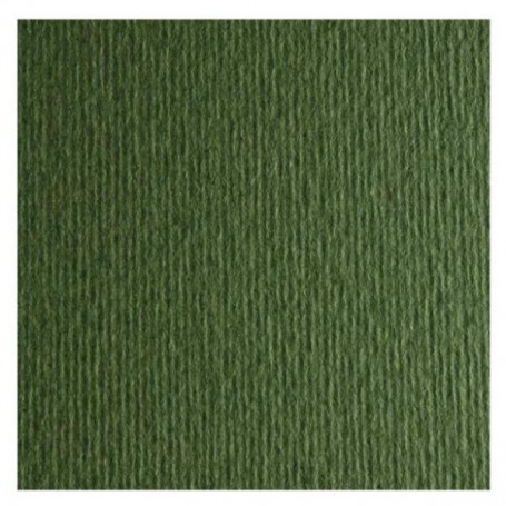 CF10 LR VERDONE-70X100 (46470128)