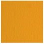 CF10 LR ARAGOSTA-70X100 (46470126)