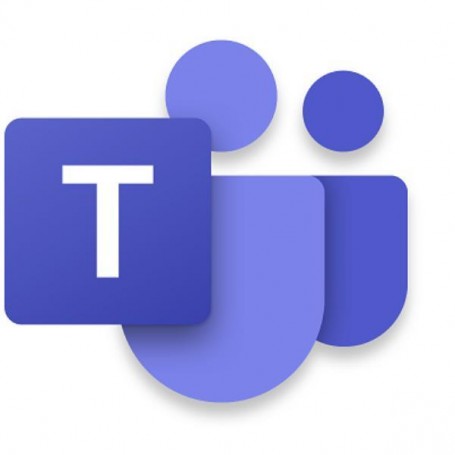 CALL2TEAMS TRUNKS UL (DZH318Z0CX1P-0005)