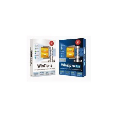 WINZIP ENT MAINT (1Y) ML 100-999 (LCWZENTMLMNT1C)