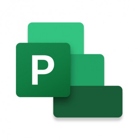 Microsoft Project Professional 2021 Full 1 licenza/e Multilingua (H30-05939)