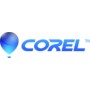 Corel CASLL4STD3Y licenza per software/aggiornamento 1 licenza/e 3 anno/i (CASLL4STD3Y)