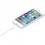 Apple Cavo da Lightning a USB (1 m) (MXLY2ZM/A)