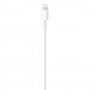 Apple Cavo da USB‑C a Lightning (1 m) (MM0A3ZM/A)