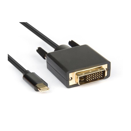 Hamlet XVAUC-DV4K20 cavo e adattatore video 2 m USB tipo-C DVI Nero (XVAUC-DV4K20)