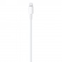 Apple MQGH2ZM/A cavo Lightning 2 m Bianco (MQGH2ZM/A)